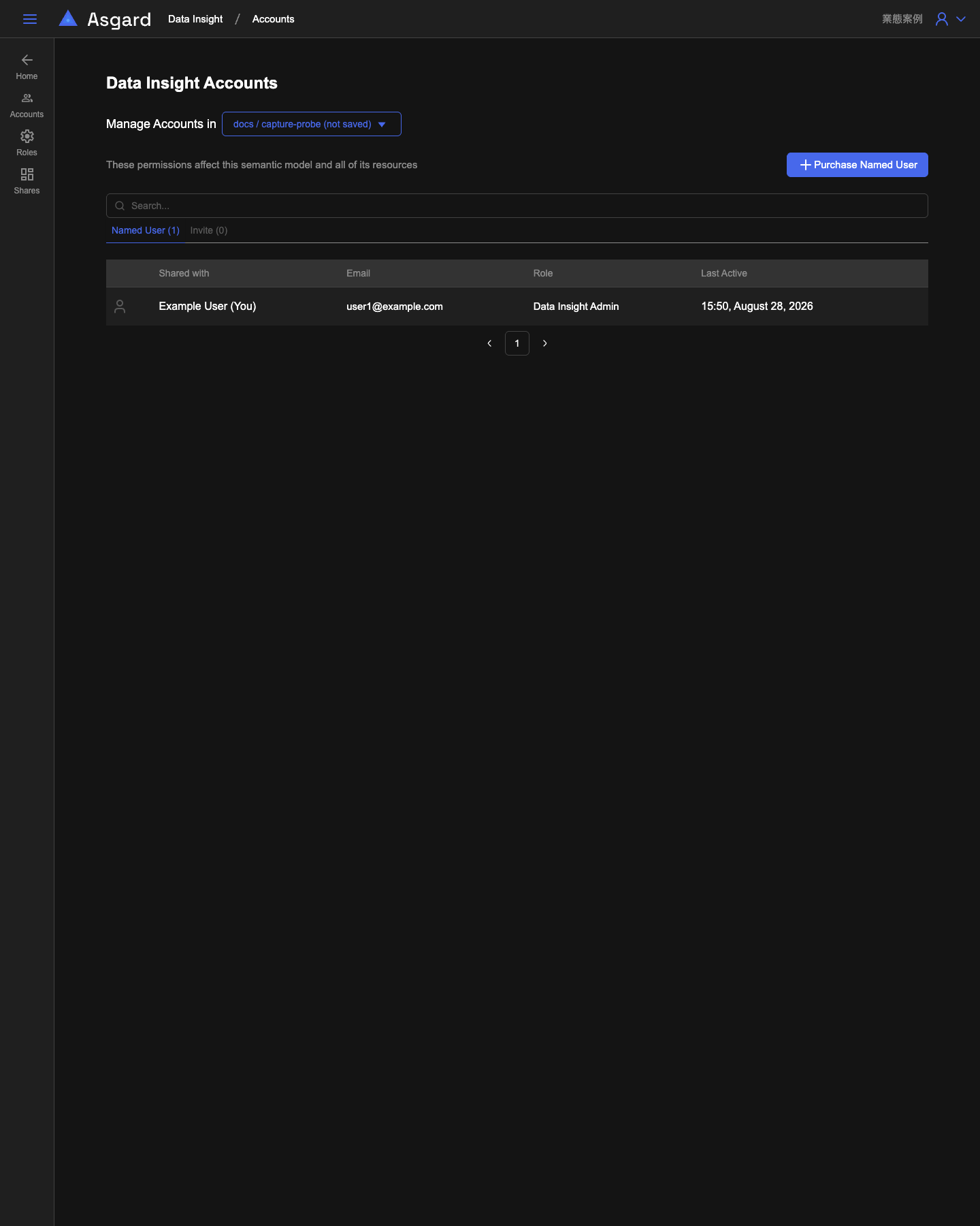 Data Insight Accounts：Manage Accounts in 選擇器、Purchase Named User，以及 Shared with 欄位